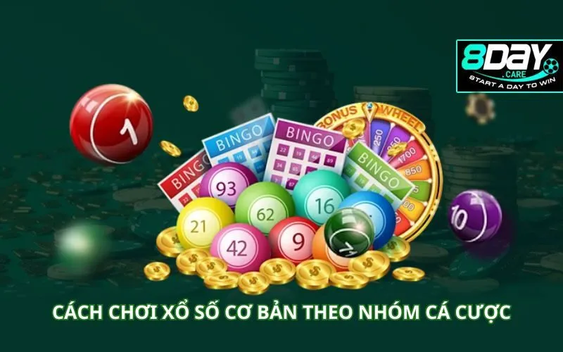 cach-choi-xo-so-co-ban-theo-nhung-nhom-ca-cuoc